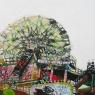 Jan Van Dijk, Wonder Wheel 30