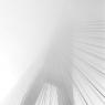 Paul Sleeman, Anzac Bridge Fog