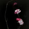 Lucinda Chambers, Spring Blossom
