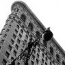 Paul Sleeman, Flatiron Building