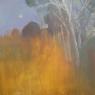 New Space New  Artists New Work, Dmitry Kuznichenko: Landscape II